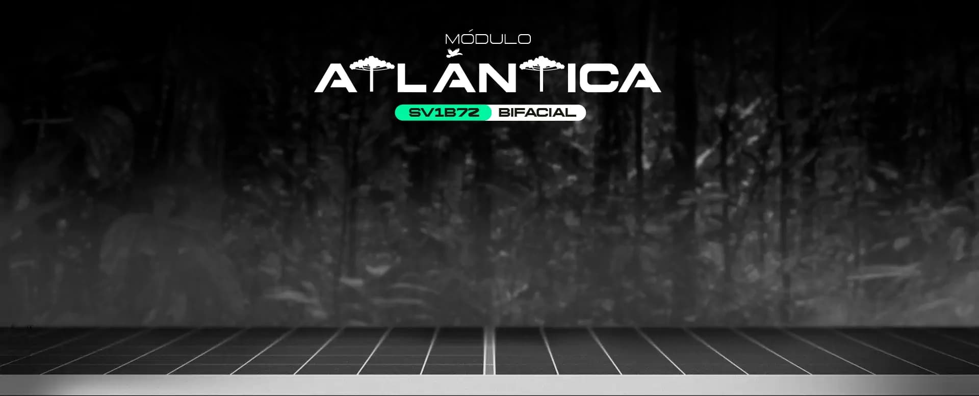 Módulo Ametista SX1B60 670W Bifacial